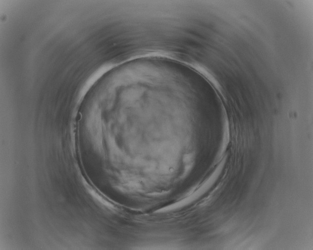 X0000071781151200607211550