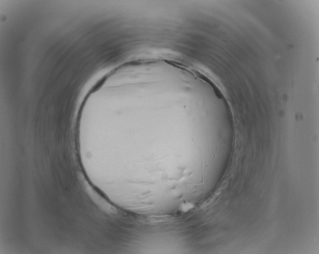 X0000071781152200607211550