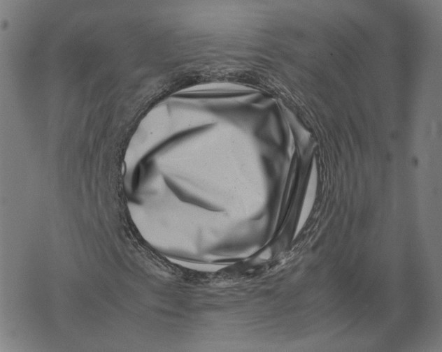 X0000071781153200607211550