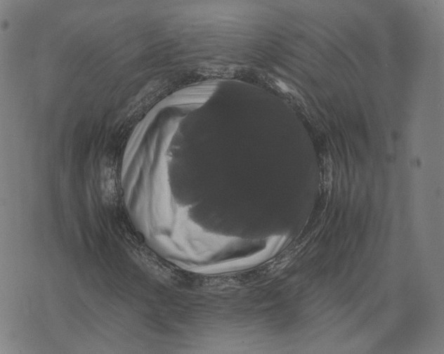 X0000071781154200607211550