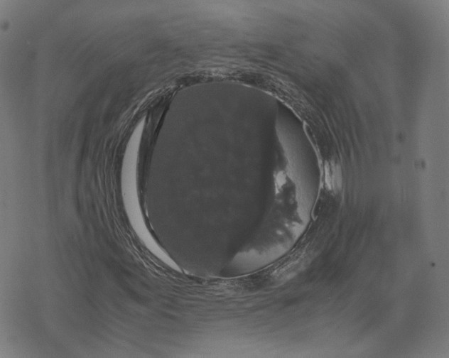 X0000071781155200607211550