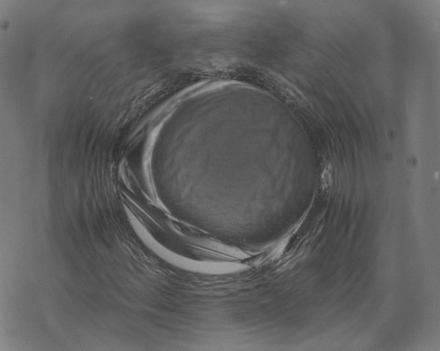 X0000071781156200607211550