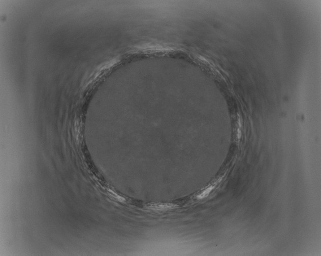 X0000071781157200607211550