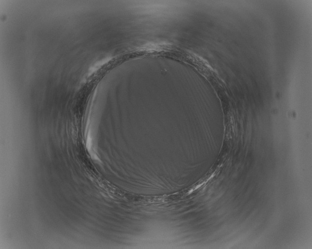 X0000071781158200607211550