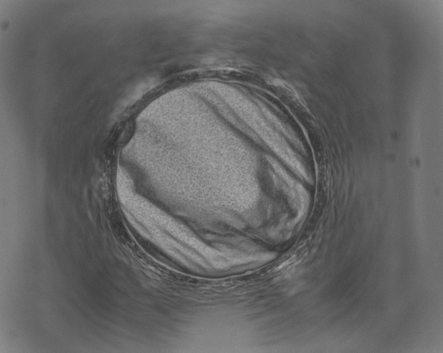 X0000071781159200607211550