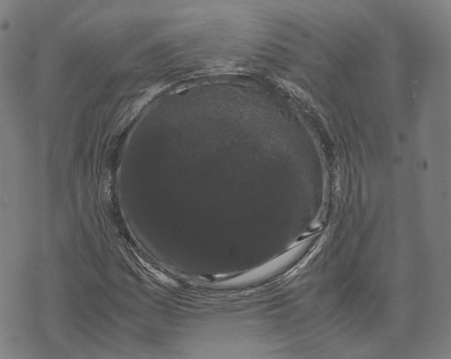 X0000071781161200607211550