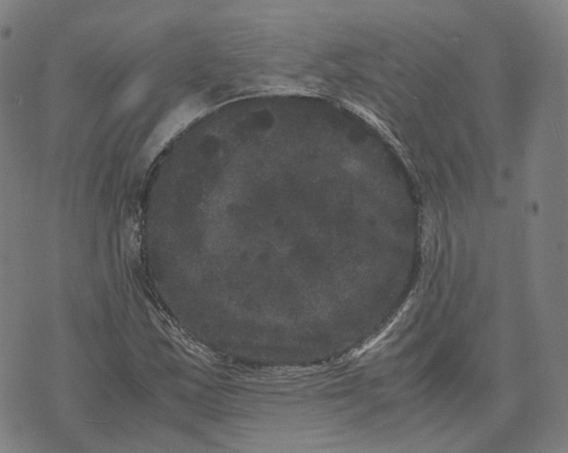 X0000071781163200607211549