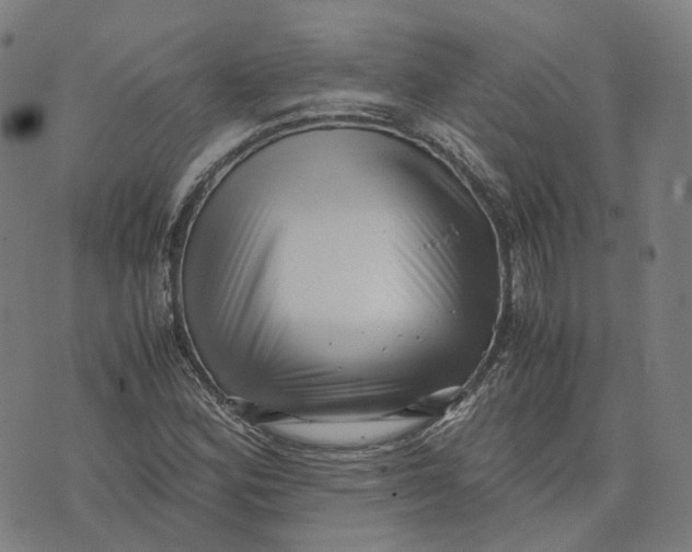 X0000071781164200607211549