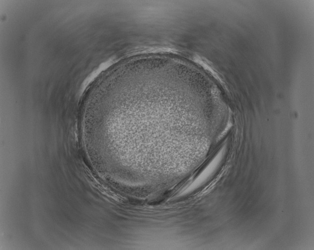 X0000071781165200607211549