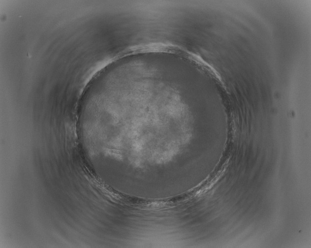 X0000071781166200607211549