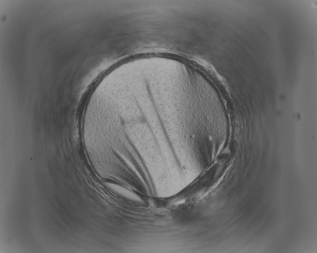 X0000071781167200607211549