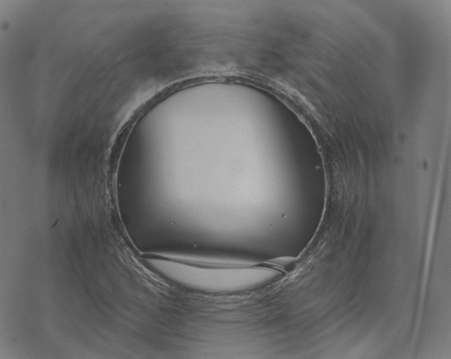 X0000071781168200607211549