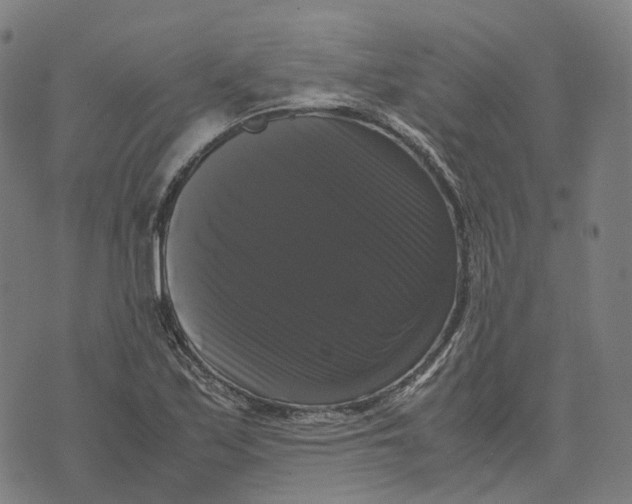 X0000071781171200607211549