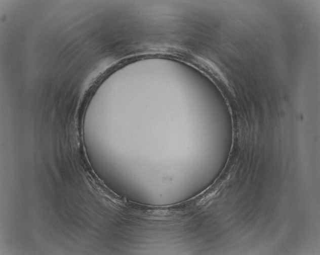 X0000071781172200607211549