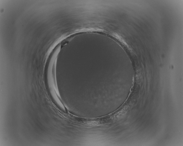 X0000071781173200607211549