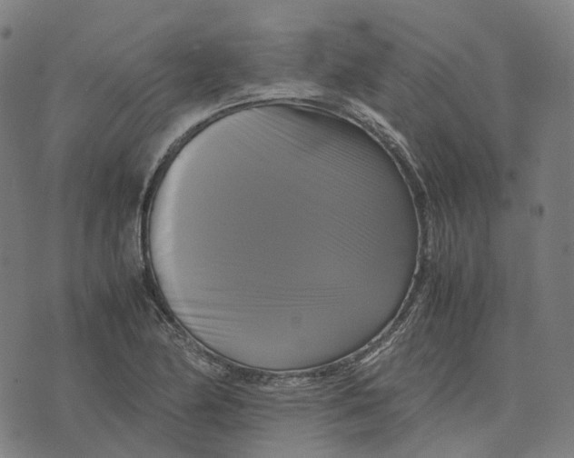 X0000071781174200607211549