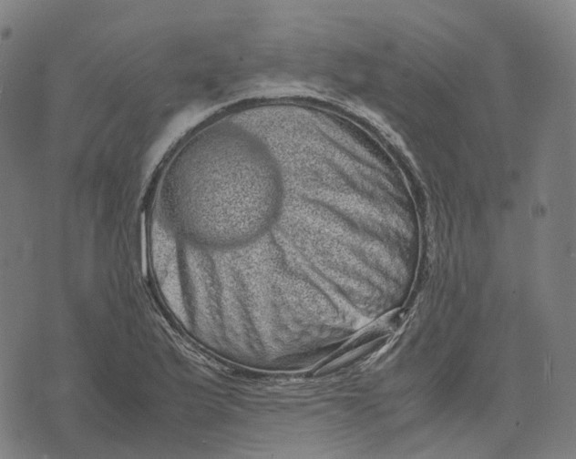 X0000071781175200607211549