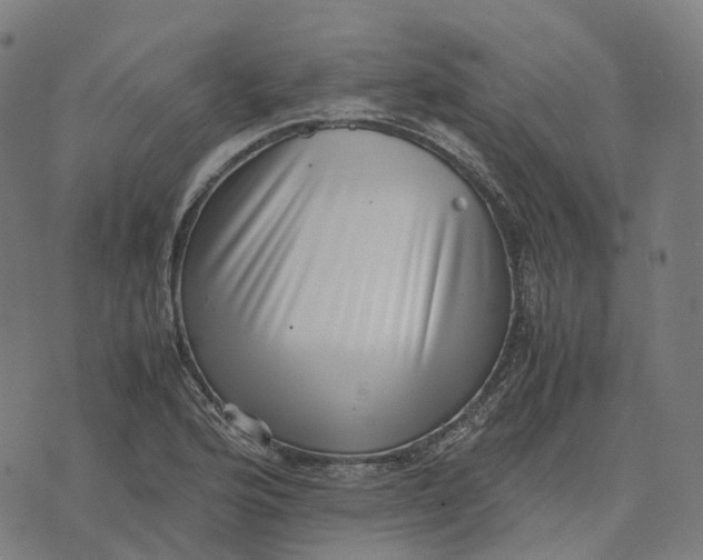 X0000071781176200607211549