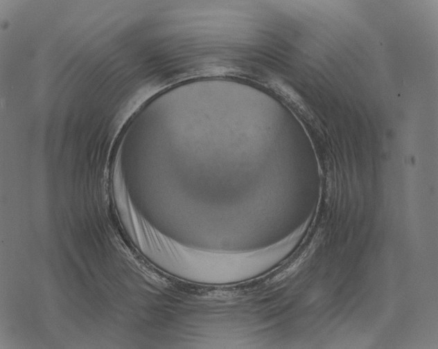 X0000071781178200607211549