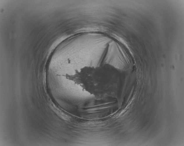 X0000071781179200607211549