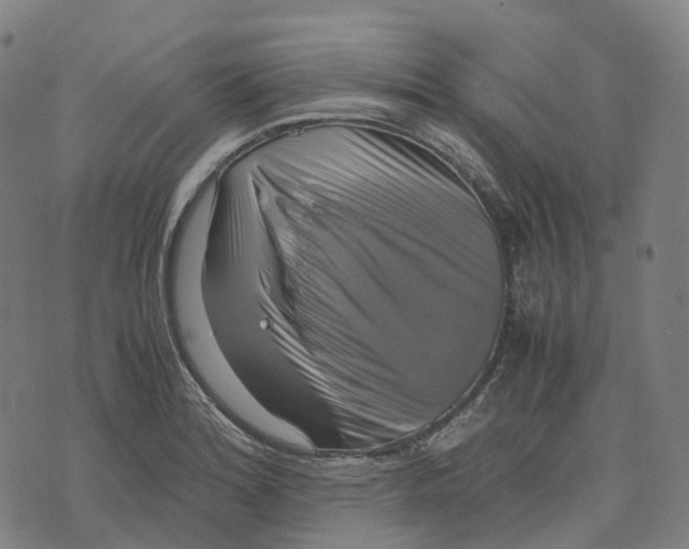 X0000071781180200607211549