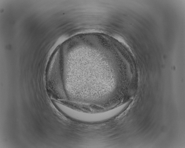 X0000071781181200607211549