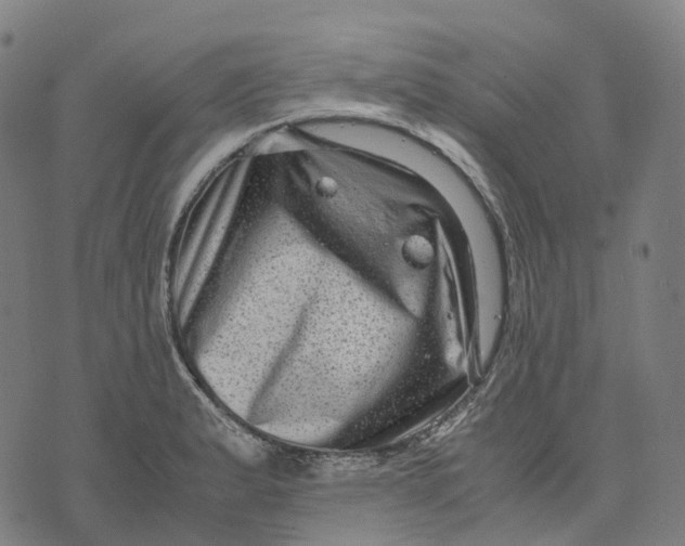 X0000071781183200607211549