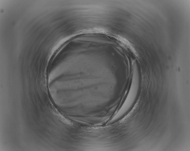 X0000071781184200607211549