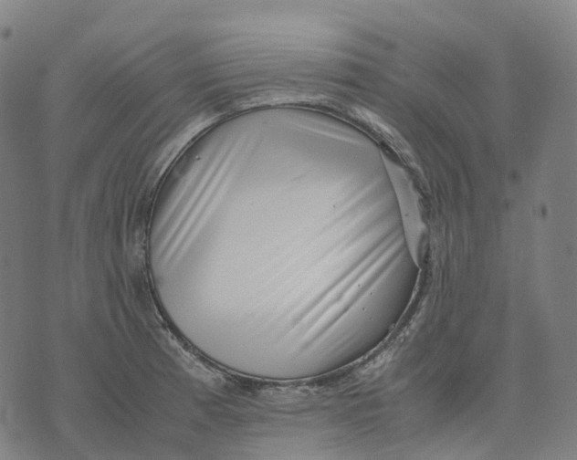 X0000071781185200607211549