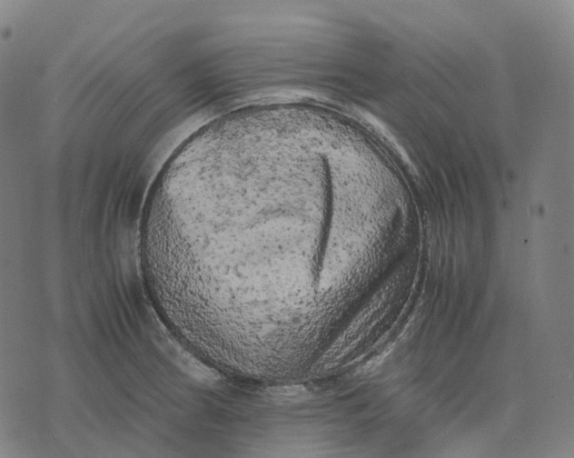 X0000071781186200607211549