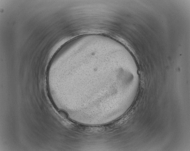 X0000071781187200607211549