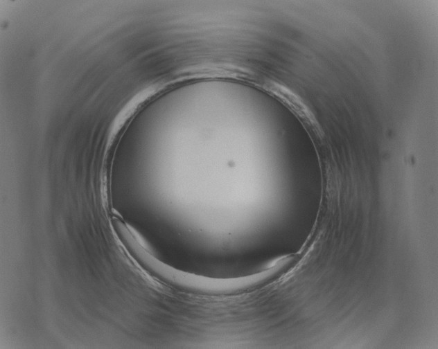 X0000071781188200607211549