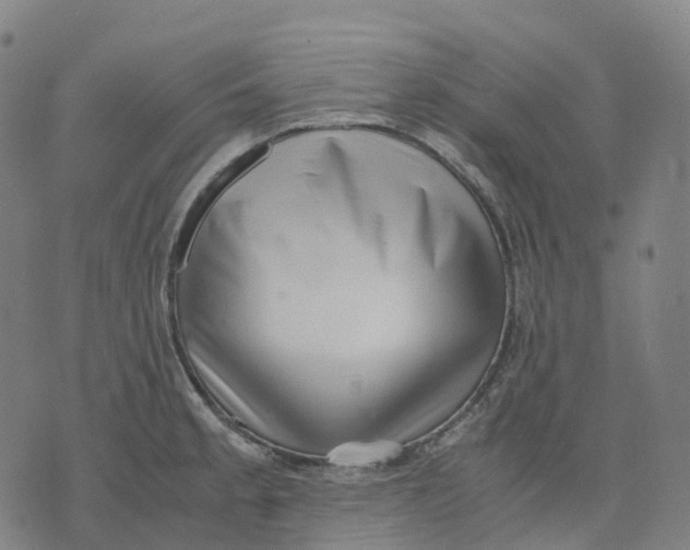 X0000071781189200607211549