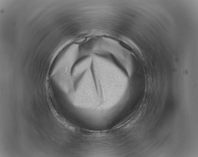 X0000071781190200607211549