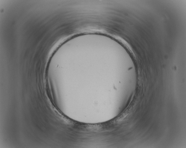 X0000071781191200607211549