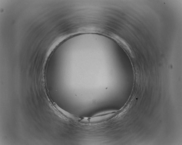 X0000071781192200607211549