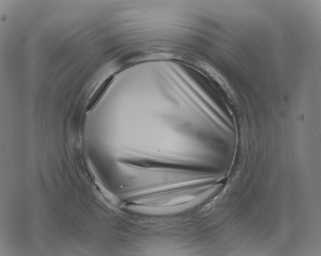 X0000071781193200607211549