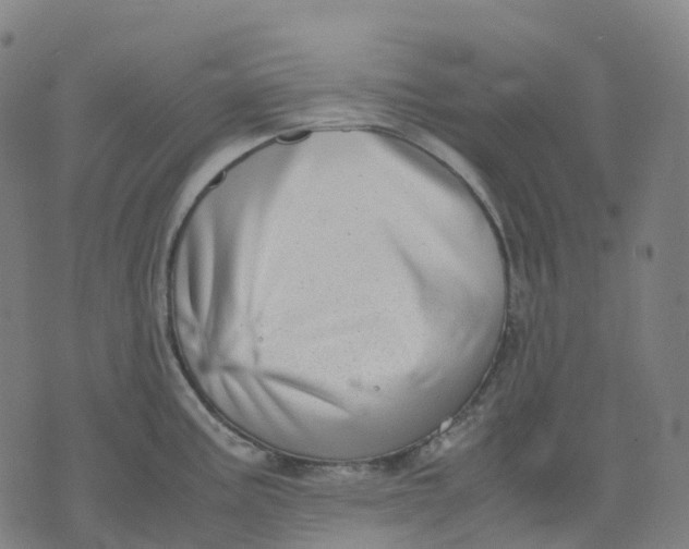 X0000071781195200607211549