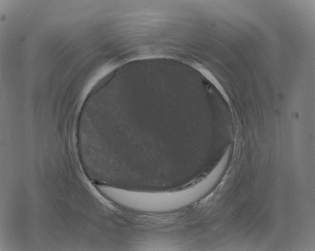 X0000071781197200607211549