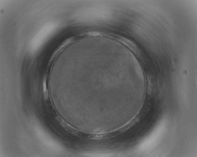 X0000071781198200607211549