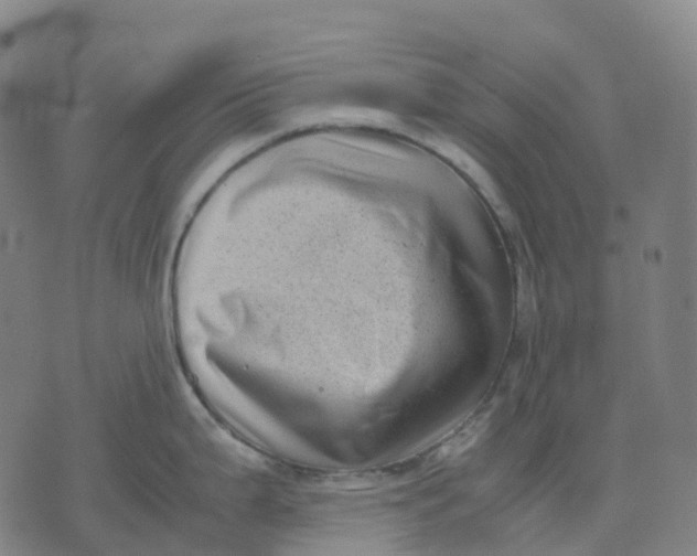 X0000071781199200607211549