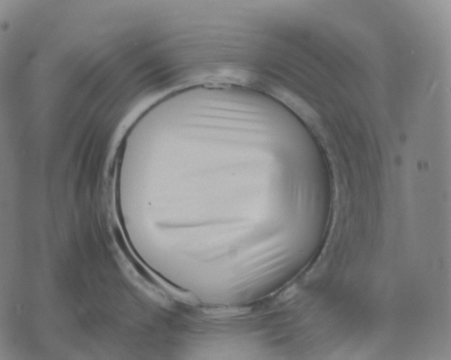 X0000071781200200607211549