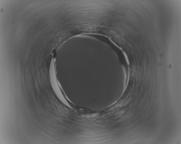 X0000071781202200607211548