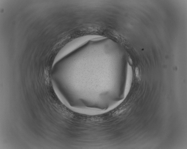 X0000071781203200607211548