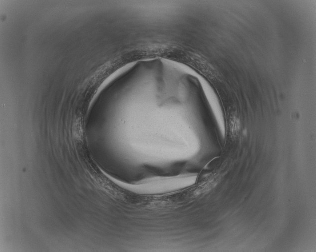 X0000071781204200607211548