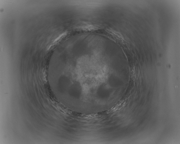 X0000071781205200607211548