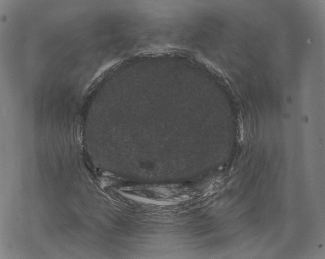 X0000071781206200607211548