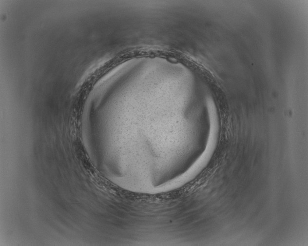 X0000071781207200607211548