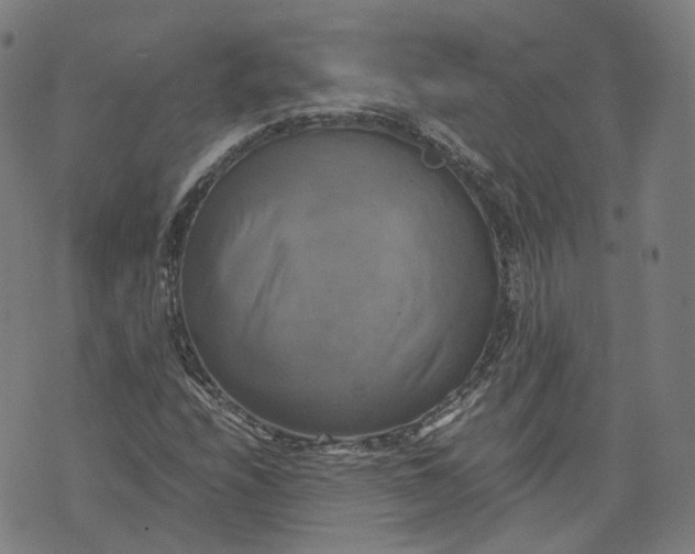 X0000071781208200607211548