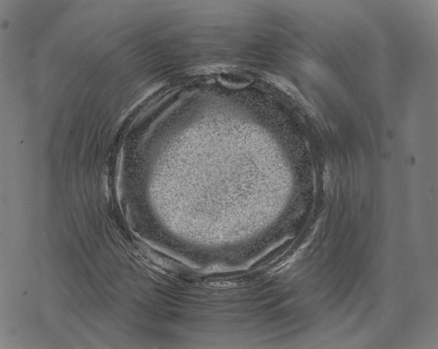 X0000071781209200607211548